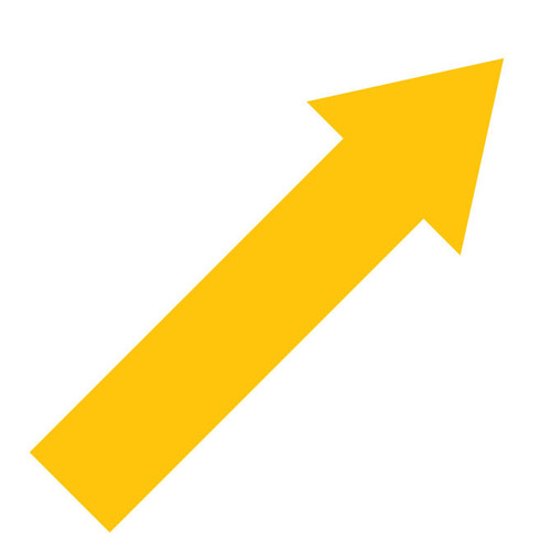 Superior Mark Arrow Floor Markers